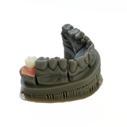 Alias Dental Gingiva