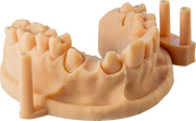 Alias Dental Model