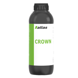 Dental Crown