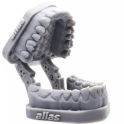 Alias Dental Model Precise
