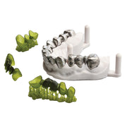 Dental Casting Resin
